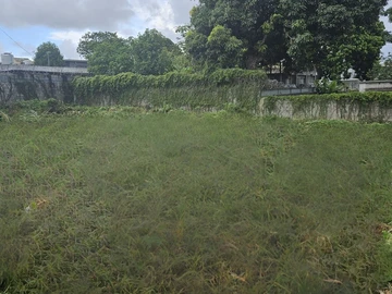 Residential Land