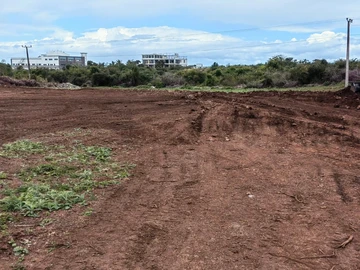 Land