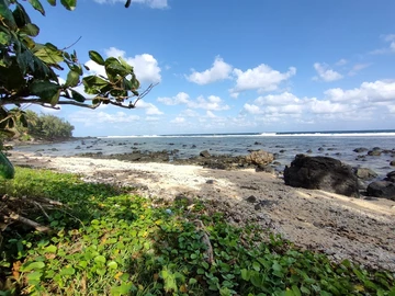Residential Land