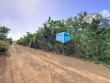 Terrain