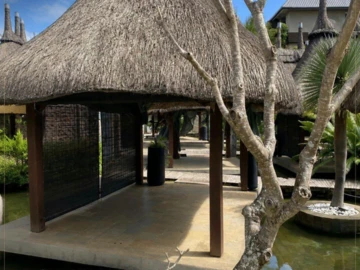 Commercial Property