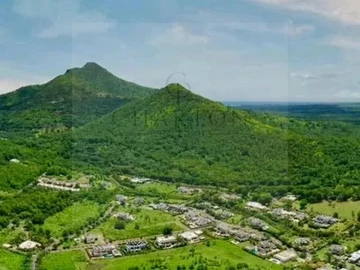 Commercial Land