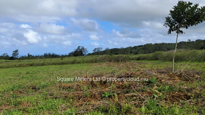 Terrain agricole de 3 537 m² à vendre à Bois Chéri (Mandat exclusif)