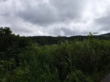 Terrain Agricole