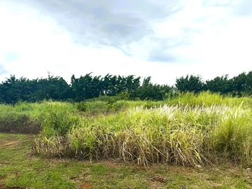 Residential Land