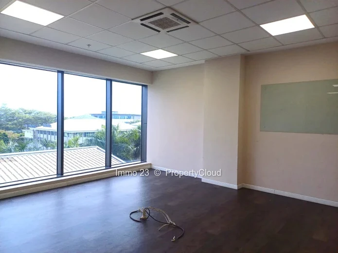 Bureaux - 366m2 - Ebène