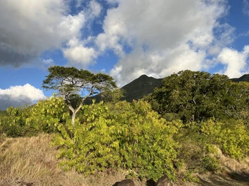 Residential Land