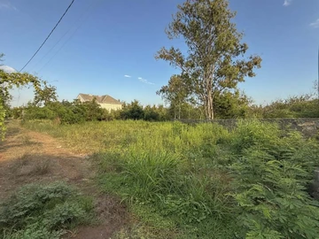 Terrain