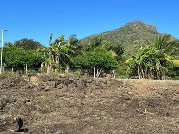 Land
