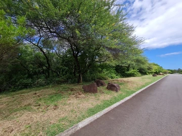 Residential Land