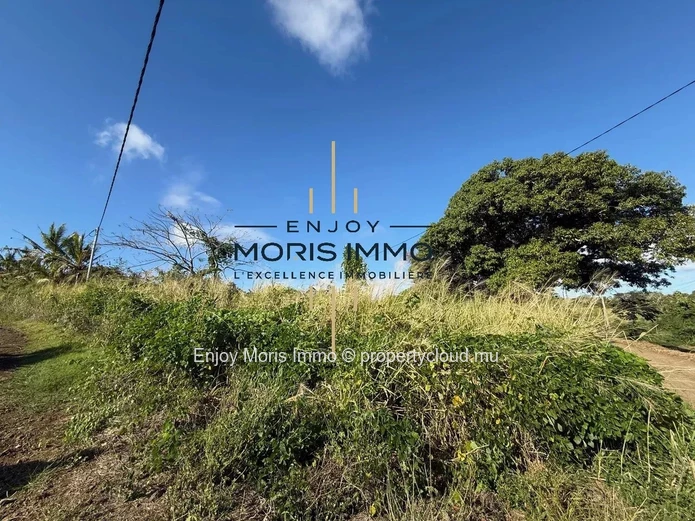 Terrain de 3 778 m² à vendre à proximité de la Forêt Daruty
