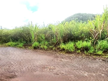Agricultural Land