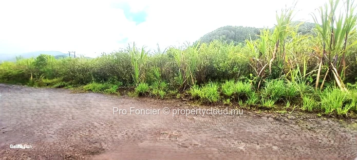 Agricultural land for sale in St Hubert - Mountain View