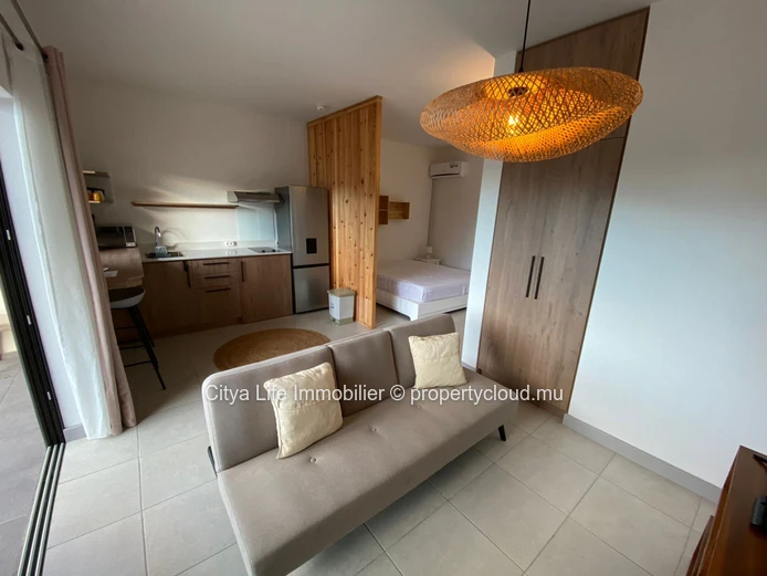Small Studio in  Moka Smart City