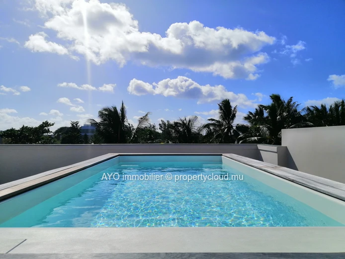 On sale- Modern penthouse in a luxury residence