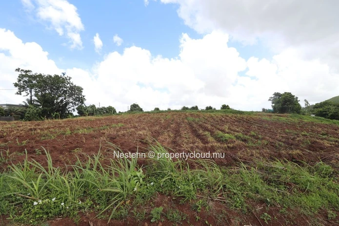 Residential Land with stunning mountain views (Lot 2)