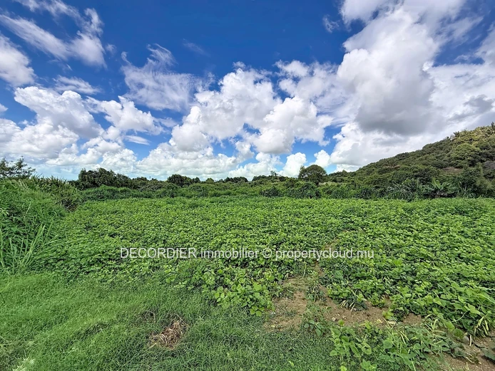 Rare sur le marché – Terrain agricole spacieux