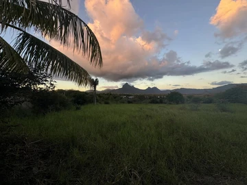 Land