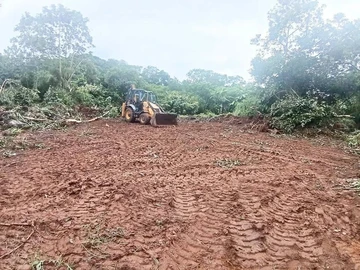Terrain
