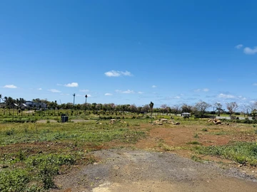 Land