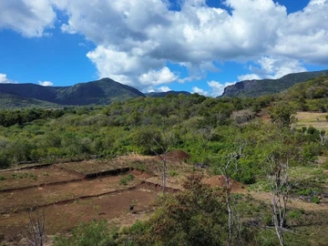 Commercial Land