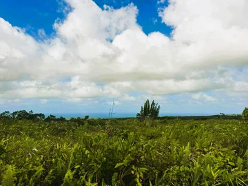 Agricultural Land