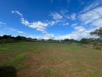 Terrain
