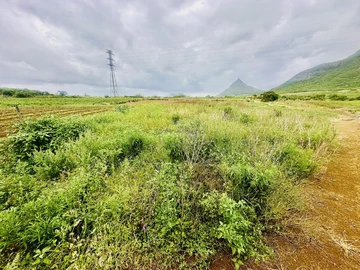 Agricultural Land
