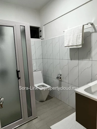 Beautiful apartment close to Flic en Flac beach 