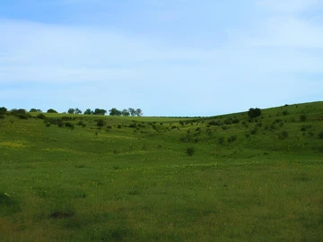 Agricultural Land