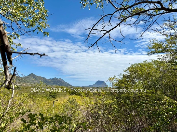 For Sale - Residential land in Petite Rivière Noire 