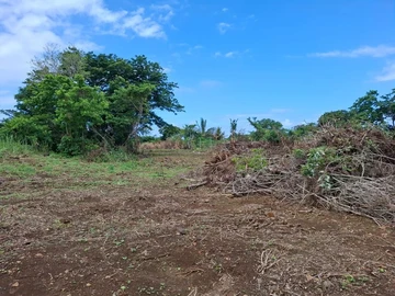 Terrain Agricole