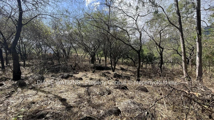 A Vendre - Terrain Résidentiel de 1700 m2 avec Vues Montagnes à Petite Riviere Noire
