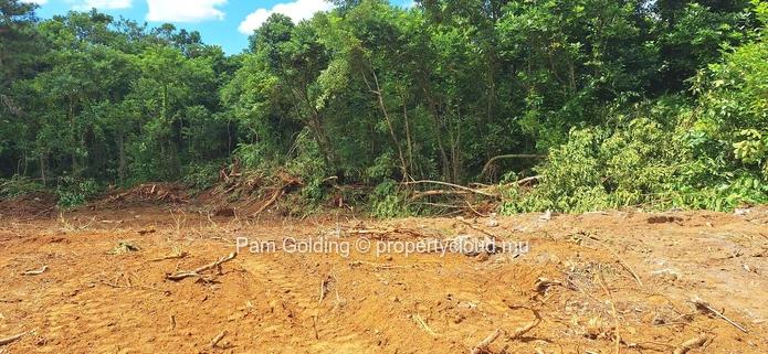 Prime Residential Land for Sale in Plaine D’hermitage – Ideal Investment Opportunity