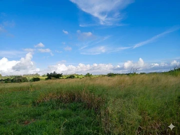 Terrain Agricole