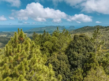 Commercial Land