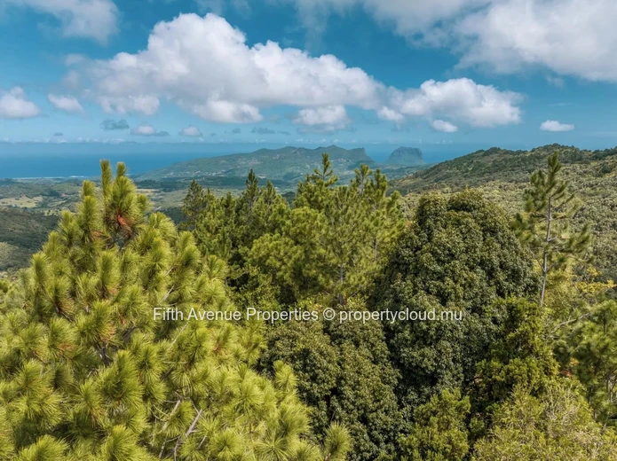 PLAINE CHAMPAGNE - TERRAIN  8900m2  COMMERCIAL