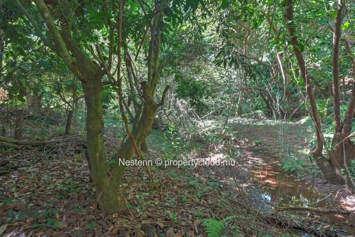 Spacious 275 m² house on a land of 13,802.67 m² in Chemin Grenier with sea and mountain views.