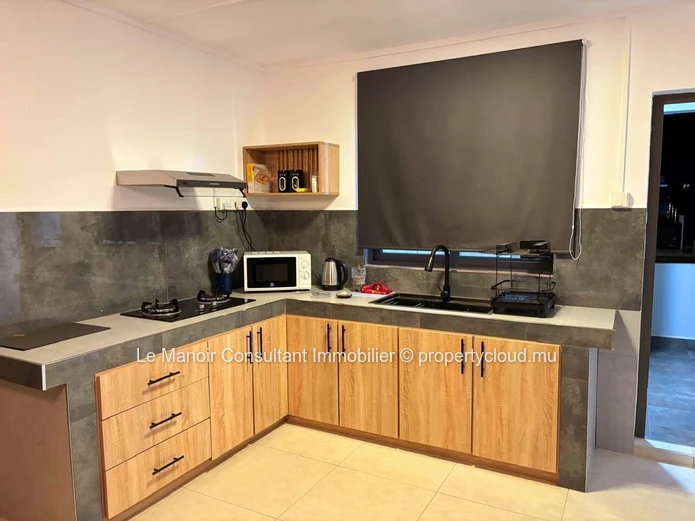Appartement meublé 160m² avec piscine à louer à Albion