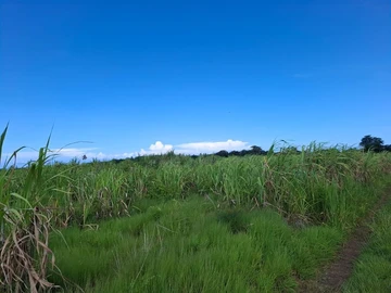 Residential Land