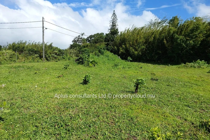 Land For Sale: Large Residential Plot in Floréal, Curepipe – Near Amenities