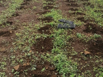 Agricultural Land