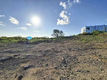 Terrain