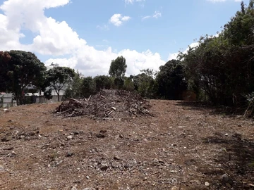 Residential Land