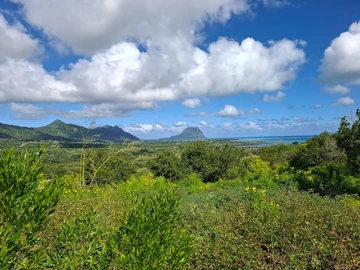 Residential Land