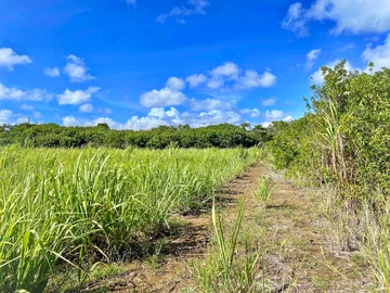 Prime Land for Sale at Trianon, 2 mins from Ebene Cybercity