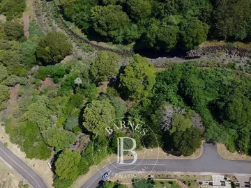 Commercial Land