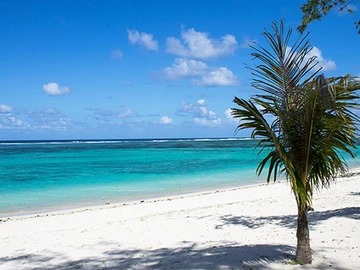 Seafront Hotel for Sale in Mauritius – Private Beach Access