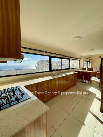 Penthouse avec vue mer