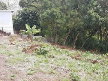 Residential Land